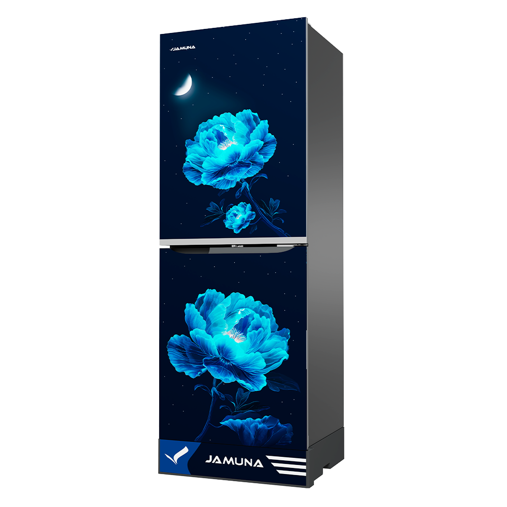 Refrigerator-TM2F5HQD Moonlight Blue