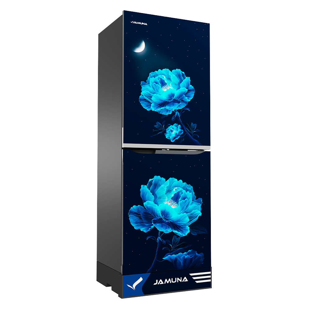 Refrigerator-TM2F5HQD Moonlight Blue