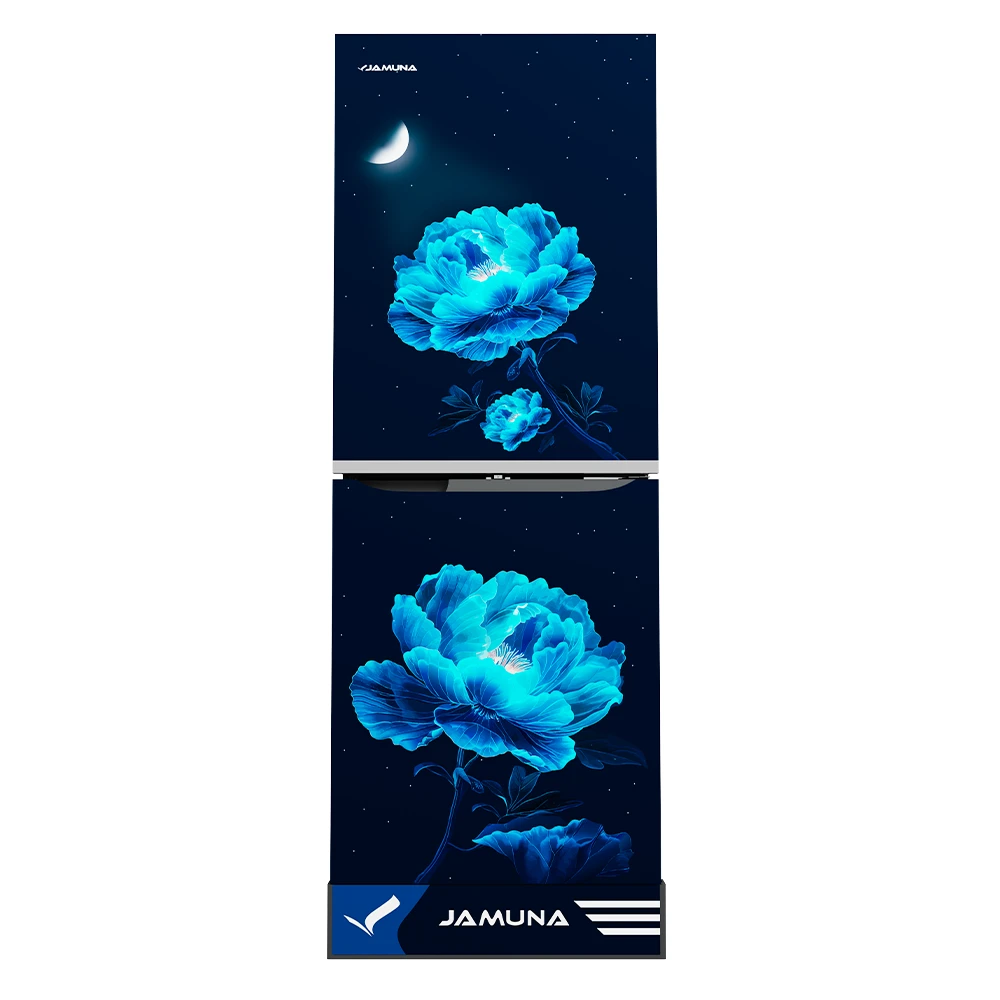 Refrigerator-TM2F5HQD Moonlight Blue